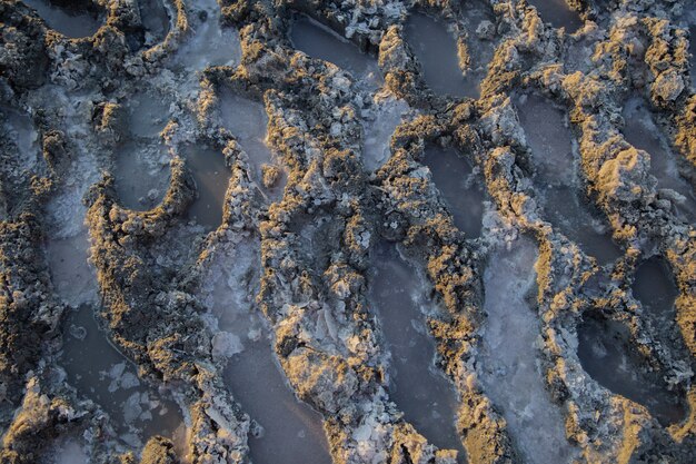 Photo traces dans l'argile salée du lac sasyk sivash, à l'intérieur duquel se trouvent des traces de sel et de l'eau de rose. . photo de haute qualité