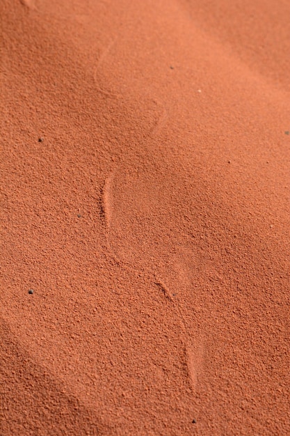 Photo traces dans le sable françois peron np baie des requins côte de corail en australie occidentale