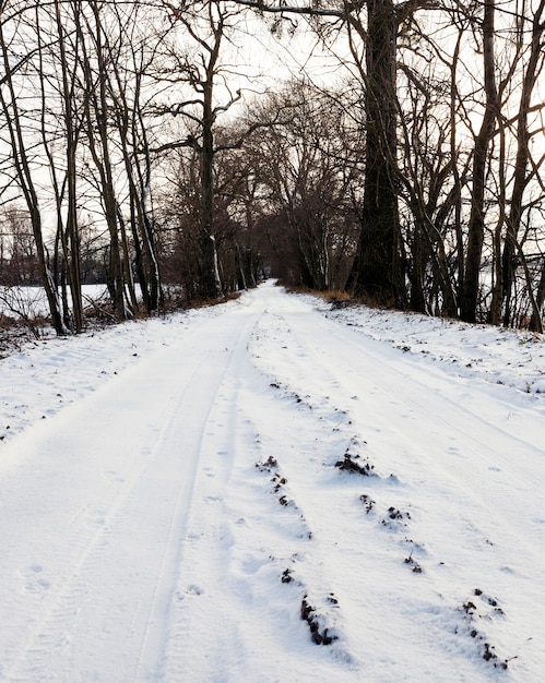 Traces de la machine sur le sol dans la forêt, recouverte de neige blanche pendant les chutes de neige hivernales, gros plan