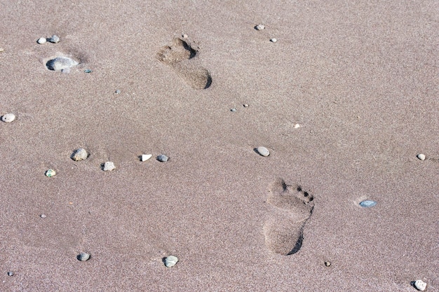 Traces sur la plage en mer. empreinte sur le sable au fond de la plage.