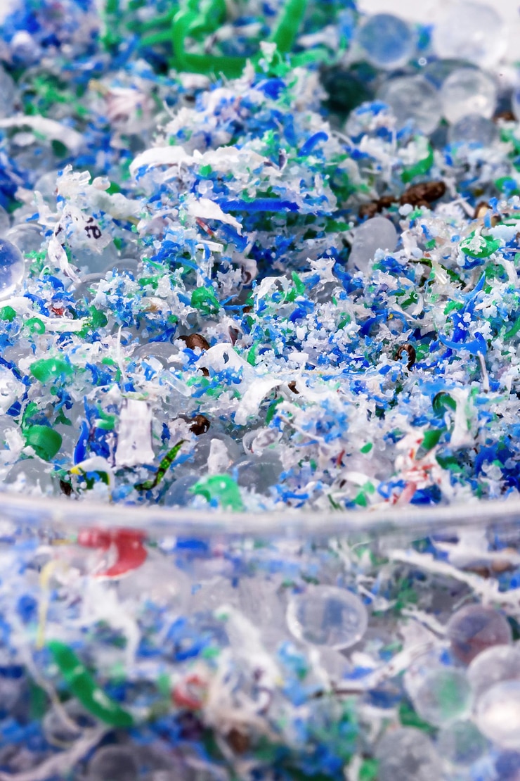 Photo traces de plastique et de microplastique dans les boîtes de petri