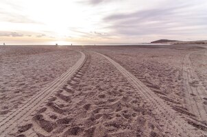 Traces de roues dans le sable