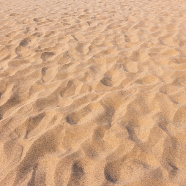 traces sur le sable