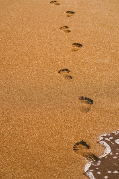 Traces sablonneuses de jambes humaines