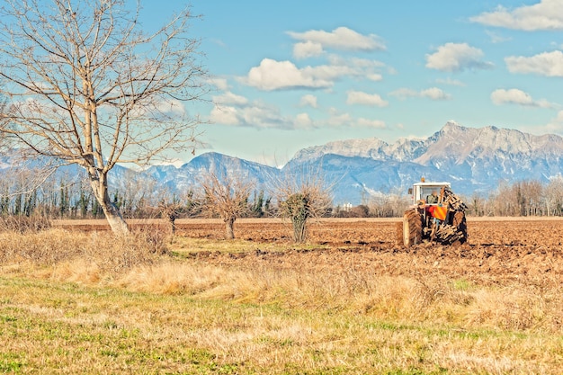 Tracteur sur le champ