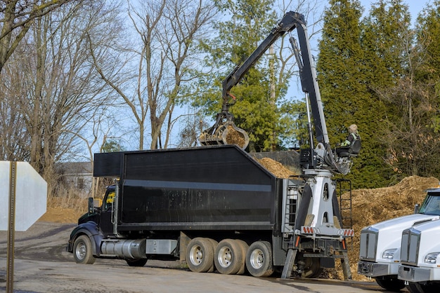 Tracteur chargeant du paillis sur un camion