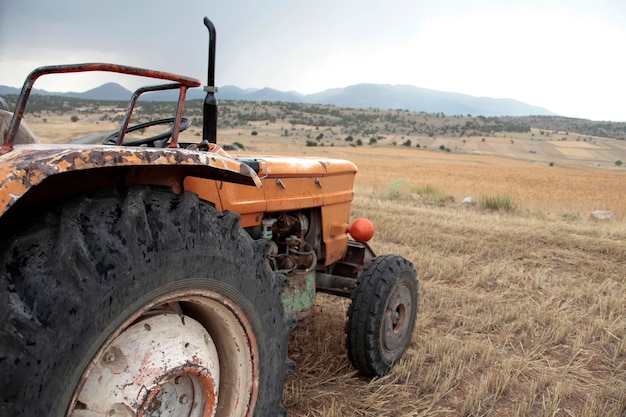 Tracteur dans le champ de blé