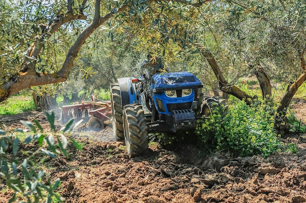 Tracteur effectuant des tâches de travail du sol dans les herses à disques de l'oliveraie