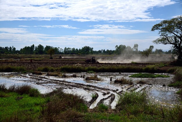 Tracteur est l&#39;agriculture dans le paysage agricole