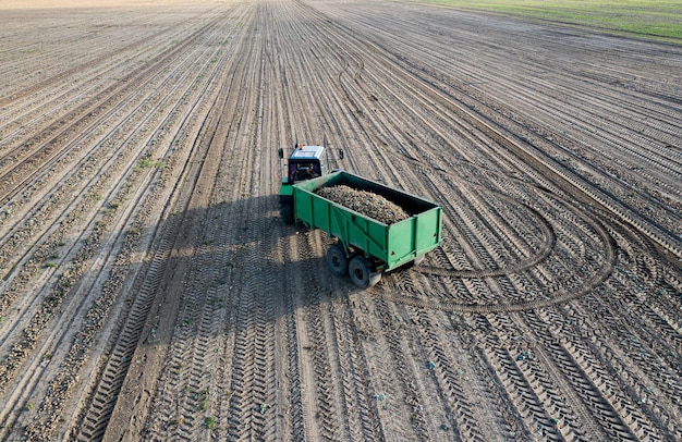 Tracteur avec une pelle à pommes de terre sur le terrain