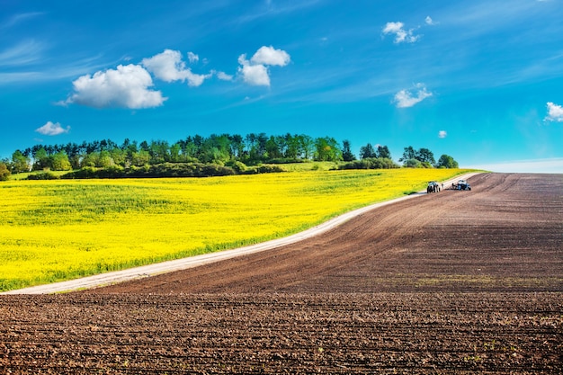 Tracteur pulvérisant des pesticides sur le champ de soja avec pulvérisateur au printemps