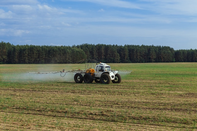 Le tracteur pulvérise des engrais chimiques liquides dans le champ de maïs