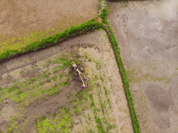 Tracteur sur la rizière vue depuis le drone