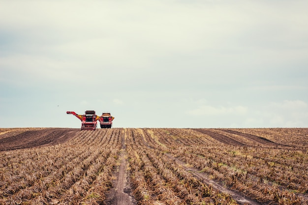 Tracteurs travaillant dans le domaine