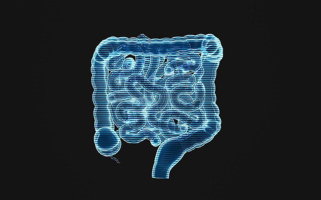 Tractus intestinal avec rendu 3d à effet holographique