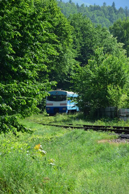 Le train électrique part de loin derrière les arbres jusqu'à la gare