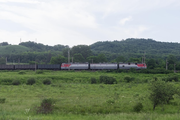 Un train de marchandises se déplace par chemin de fer entre les bois et les champs Concept de transport de fret ferroviaire logistique de transport exportation et importation