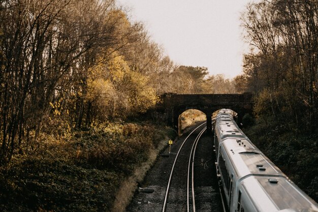 Photo le train passe sous le pont.