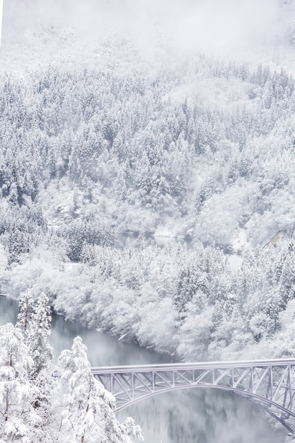 Train paysage d&#39;hiver