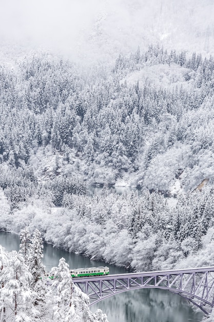 Train paysage d&#39;hiver