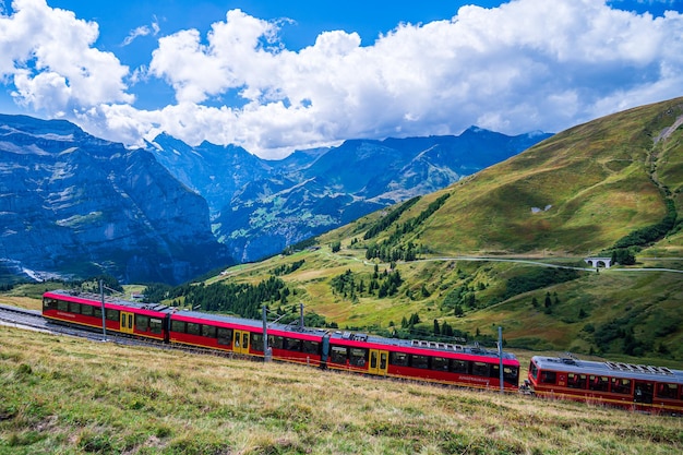 Train pour Jungfraujoch