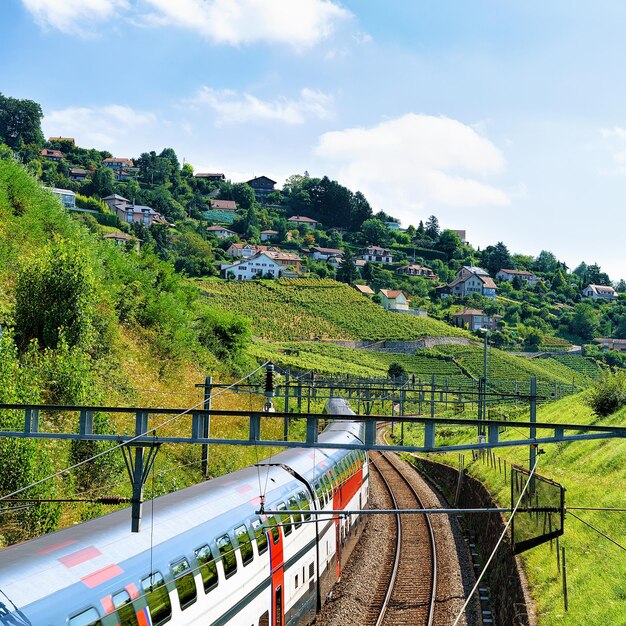 Train roulant près du sentier de randonnée en terrasse du vignoble de Lavaux, district de Lavaux-Oron en Suisse