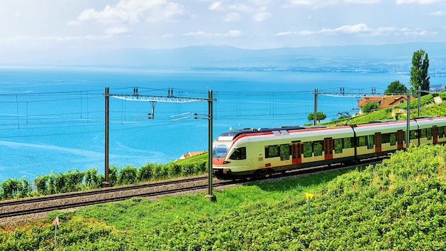 Train roulant sur le sentier de randonnée des terrasses du vignoble de Lavaux au bord du lac Léman et des montagnes alpines, district de Lavaux-Oron, Suisse