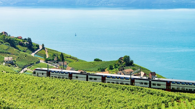 Train à la terrasse du vignoble de Lavaux près du lac Léman et des Alpes suisses, district de Lavaux-Oron, Suisse