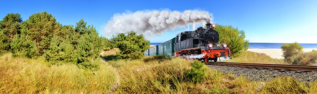 Train à vapeur allemand historique au printemps, Rugen, Allemagne