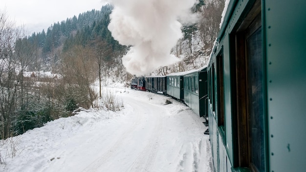 Train à vapeur en mouvement Mocanita de l'intérieur en hiver Roumanie