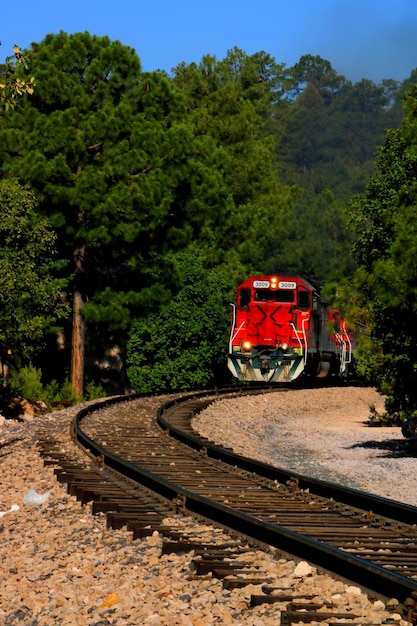 Photo le train sur les voies ferrées par les arbres contre le ciel