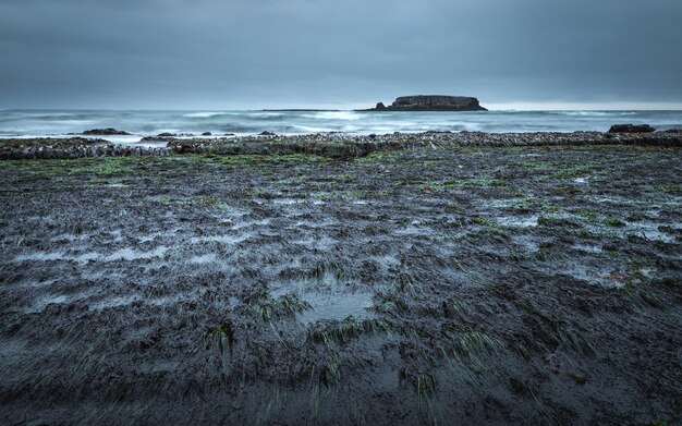 Photo des traînées de boue