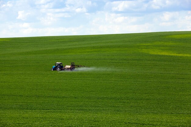 Traitement des céréales - tracteur, photographié dans le domaine agricole lors de la manipulation des pesticides. ciel avec des nuages