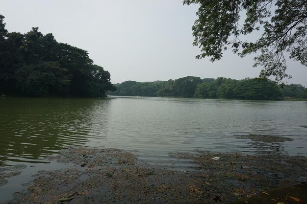 traitement des eaux usées