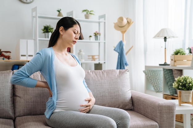 Traitement de santé. jeune femme enceinte séduisante au cours de son deuxième trimestre assise à l'intérieur sur un canapé-lit touchant le dos douloureux souffrant de maux de dos. mal à la taille inconfort malade maman à la maison.