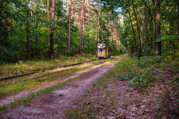 Photo le tram part de la forêt d'automne