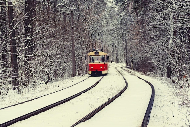 Tramway en forêt