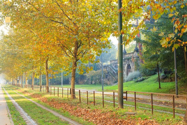 Tramway de Milan en perspective pendant la saison d'automne