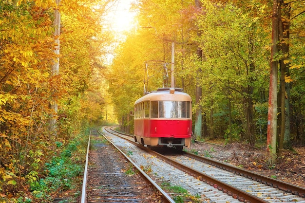 Le tramway rétro rouge longe la route