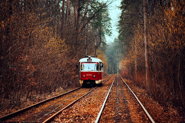 Tramway rouge vintage