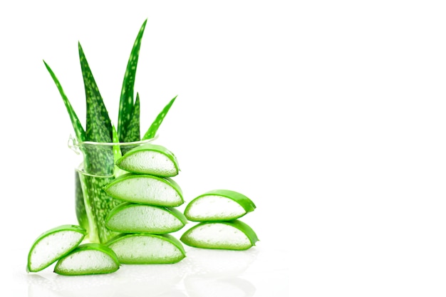 Tranche Aloe Vera phytothérapie utile pour les soins de la peau et des cheveux.