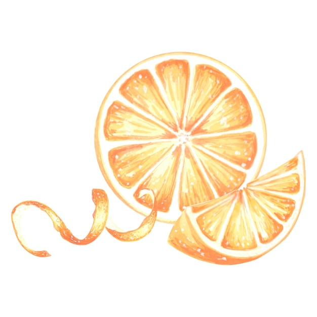 Tranche d'aquarelle et cercle d'agrumes d'été orange isolés illustration dessinée à la main