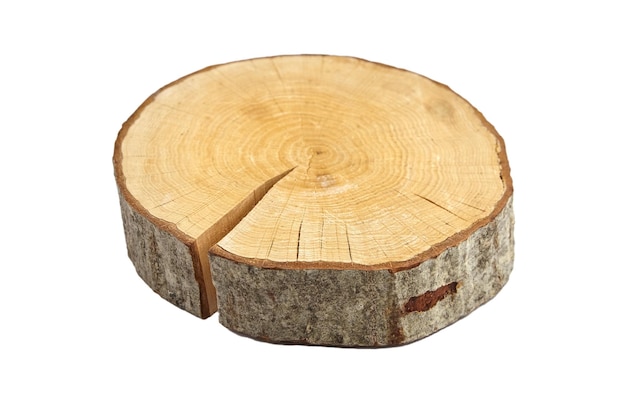 Tranche de bois avec bûche de bois de coupe transversale d'écorce isolé sur fond blanc