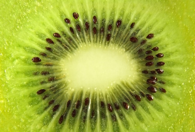 Tranche de kiwi gros plan