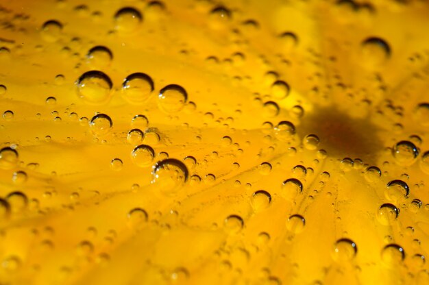 Une tranche d'orange recouverte de bulles se trouve dans un verre d'eau gazeuse. Fermer.