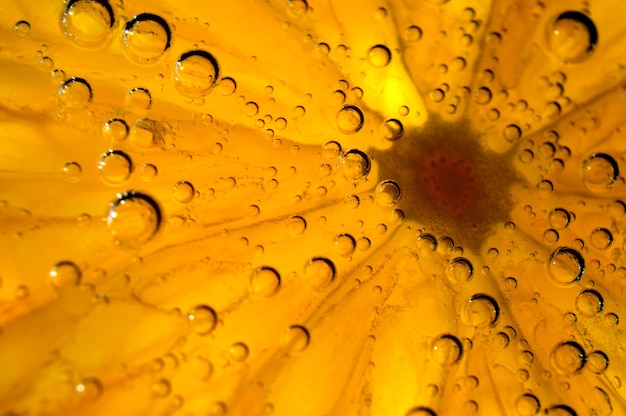 Une tranche d'orange recouverte de bulles se trouve dans un verre d'eau gazeuse. Fermer.