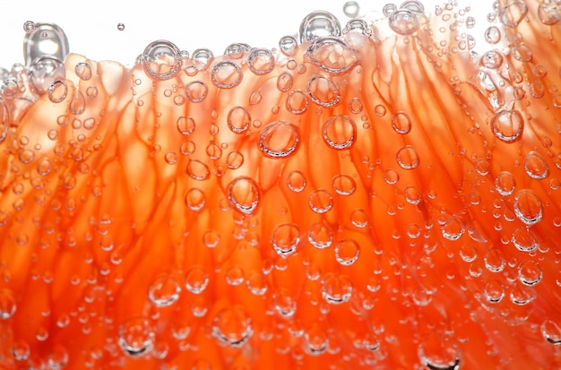 Photo tranche de pamplemousse pelé dans l'eau avec des bulles d'air en arrière-plan gros plan macro-vision agrumes rouges