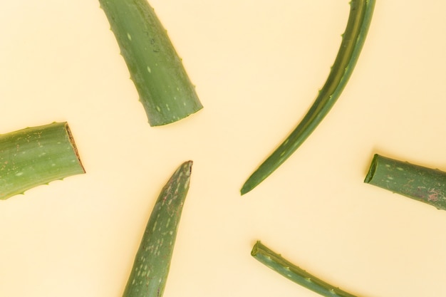 Tranches d'aloe vera feuilles sur fond beige