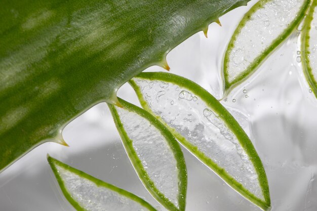 Des tranches et des feuilles d'aloès dans un gel cicatrisant hydratant