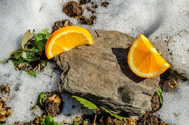 Tranches d'orange sur un rocher à côté d'un rocher